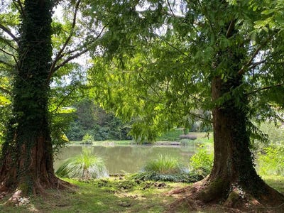 /international/fr/tosse-aquitaine-310108631647/