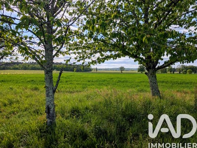 /international/fr/saint-sauveur-de-puynormand-aquitaine-310107616937/