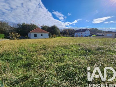 /international/fr/viodos-abense-de-bas-aquitaine-310108590957/
