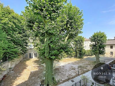/international/fr/avignon-provence-alpes-cote-d-azur-310109426472/