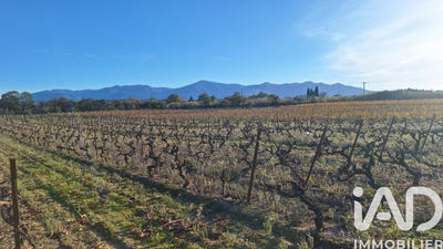 /international/fr/bages-languedoc-roussillon-310104003003/