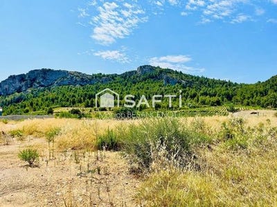 /international/fr/tautavel-languedoc-roussillon-310101385563/?lang=en