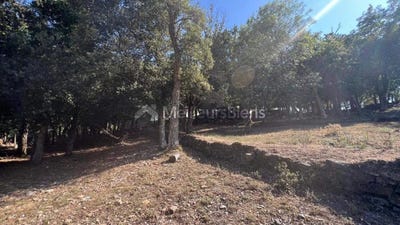 /international/fr/prunelli-di-fiumorbo-corsica-310100014561/?lang=zh-tw