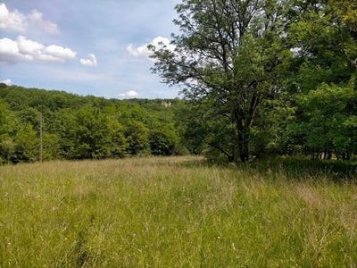 /international/fr/luzech-midi-pyrenees-310106996121/