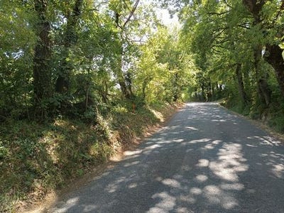 /international/fr/saix-midi-pyrenees-310105761812/