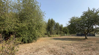 /international/fr/saint-martin-lacaussade-aquitaine-310102749113/