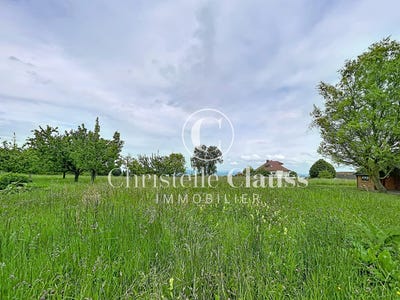 /international/fr/folgensbourg-alsace-310108261024/