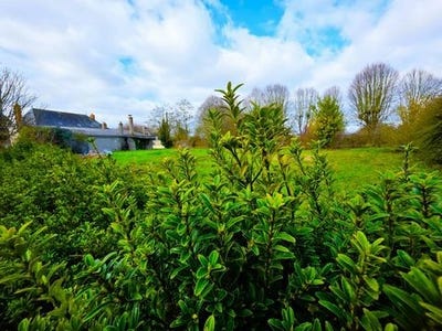 /international/fr/bauge-en-anjou-pays-de-la-loire-310105791885/