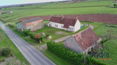 /international/fr/couleuvre-auvergne-310108871129/
