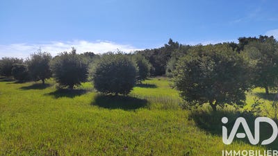 /international/fr/travaillan-provence-alpes-cote-d-azur-310106592452/