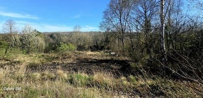 /international/fr/septeuil-ile-de-france-310106547638/