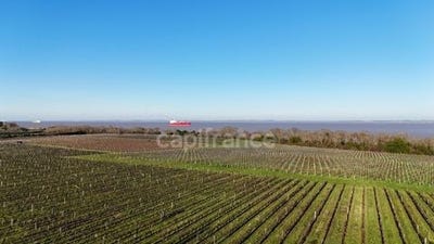 /international/fr/st-yzans-de-medoc-aquitaine-310100299041/
