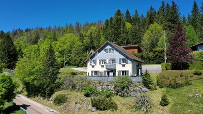 /international/fr/bois-d-amont-franche-comte-310099915327/
