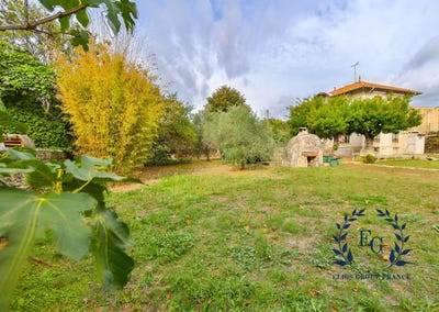 /international/fr/montpellier-languedoc-roussillon-310105205576/