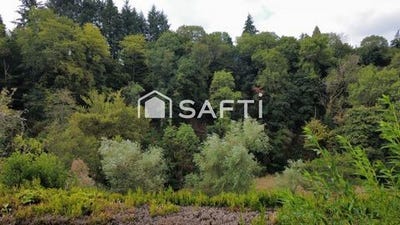 /international/fr/boussac-limousin-310119421474/