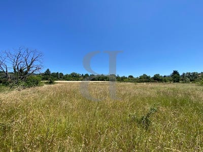 /international/fr/vaison-la-romaine-provence-alpes-cote-d-azur-310101130569/
