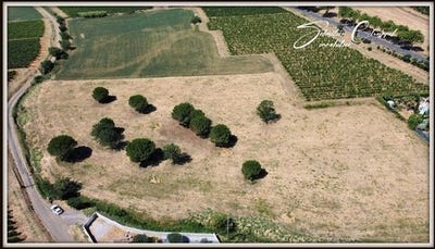 /international/fr/roujan-languedoc-roussillon-310100877572/