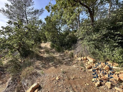 /international/fr/brignoles-provence-alpes-cote-d-azur-310110347813/