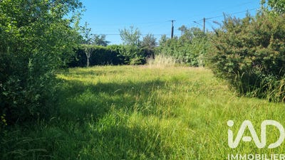 /international/fr/lagarrigue-midi-pyrenees-310108481635/