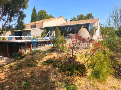 /international/fr/la-palme-languedoc-roussillon-310106574633/?lang=th