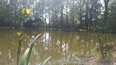 /international/fr/marcille-raoul-brittany-310107977902/