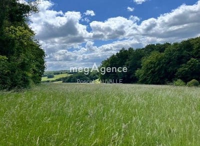 /international/fr/sanilhac-rhone-310108162196/