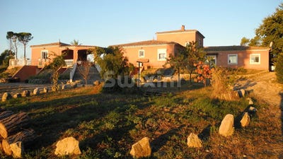 /international/fr/fayence-provence-alpes-cote-d-azur-310100960805/