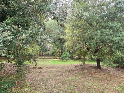 /international/fr/biot-provence-alpes-cote-d-azur-310105104211/
