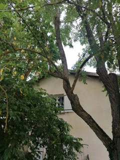 /international/fr/parisot-aquitaine-310098841351/?lang=zh-tw