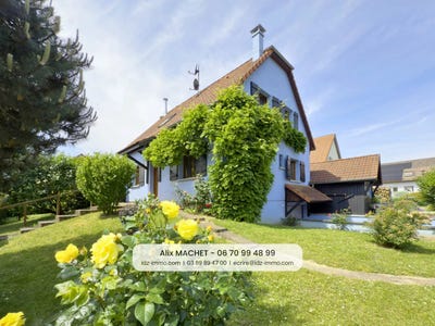 /international/fr/niffer-alsace-310104264057/