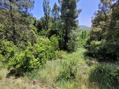 /international/fr/saint-julien-les-rosiers-languedoc-roussillon-310103285462/