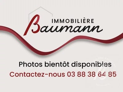 /international/fr/obernai-alsace-310105832493/