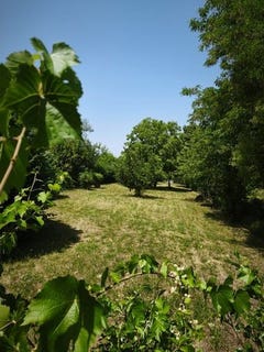 /international/fr/bleneau-burgundy-310100661302/