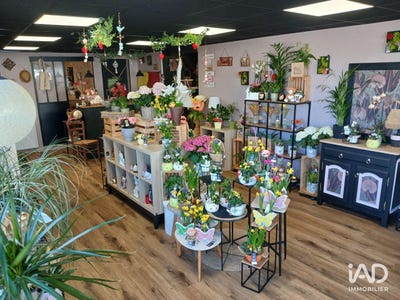 /international/fr/saint-sauveur-lendelin-upper-normandy-310107470377/