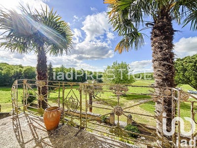 /international/fr/negrepelisse-midi-pyrenees-310099834868/