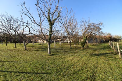 /international/fr/monteaux-centre-val-de-loire-310104463195/