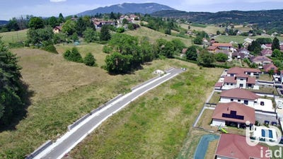 /international/fr/belley-ardennes-310101043610/