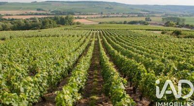 /international/fr/passy-grigny-ardennes-310109074936/