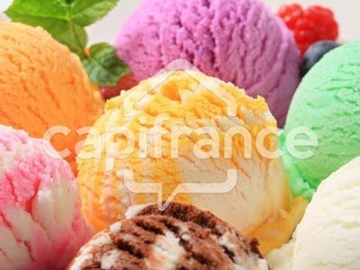 /international/fr/sarlat-la-caneda-aquitaine-310101380886/