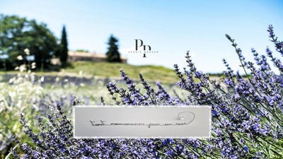 /international/fr/viens-provence-alpes-cote-d-azur-310098703602/?lang=zh-cn
