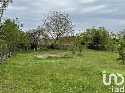 /international/fr/montigny-sur-loing-ile-de-france-310101355616/