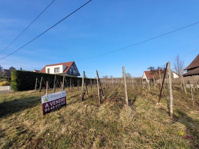 /international/fr/obermorschwihr-alsace-310098922848/