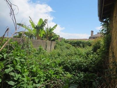/international/fr/clairac-aquitaine-310100174777/