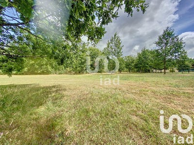 /international/fr/saint-etienne-de-tulmont-midi-pyrenees-310101279800/