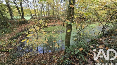 /international/fr/vieux-vy-sur-couesnon-brittany-310106709017/