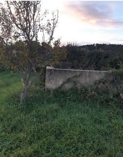 /international/fr/sabran-languedoc-roussillon-310104799128/