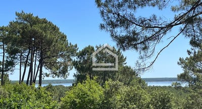/international/fr/lacanau-aquitaine-310108928326/