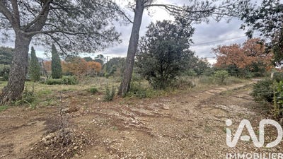 /international/fr/saint-montan-rhone-310108156765/