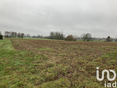 /international/fr/mulsanne-pays-de-la-loire-310101324106/