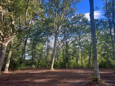 /international/fr/seignosse-aquitaine-310105211598/